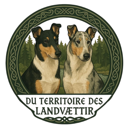 Du Territoire Des Landvaettir